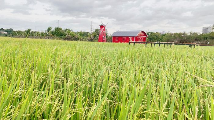 Ghé Tháp Chàm Farm để khám phá du lịch sinh thái và nghỉ dưỡng.