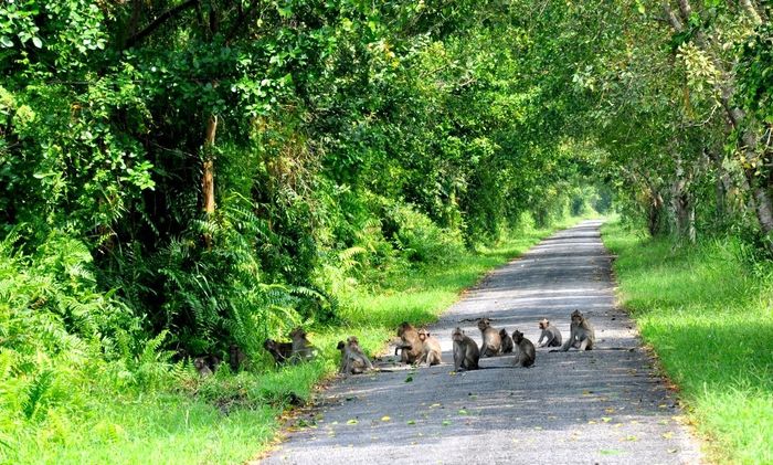 Vườn Quốc Gia Phú Quốc - Điểm đến thu hút những linh hồn phiêu lưu 12