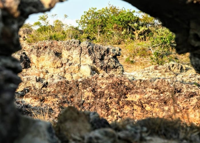 Thăm bãi đá Karang Ninh Thuận, bãi san hô cổ vô giá hàng triệu năm