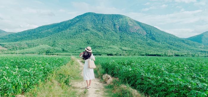 Đánh giá về phong cảnh tuyệt đẹp trên con đường tới hồ thuỷ điện Đá Đen Phú Yên 9