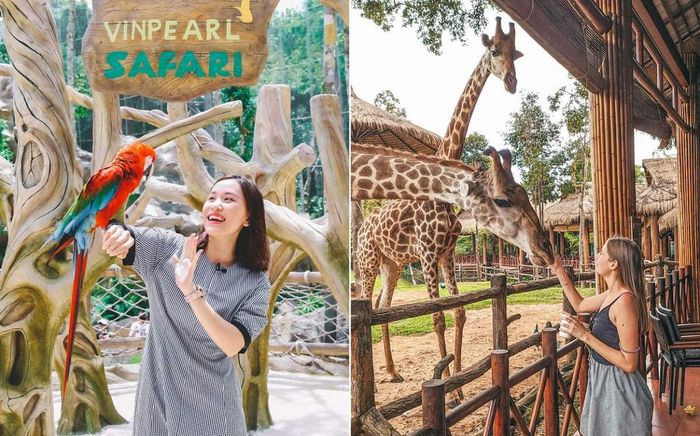 Vinpearl Safari Phú Quốc – Đánh giá từ A đến Z về mô hình vườn thú hoang dã đầu tiên tại Việt Nam 6