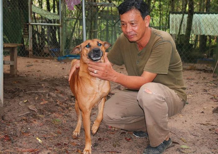 Trung tâm bảo tồn chó xoáy Phú Quốc – Linh hồn của đảo Ngọc