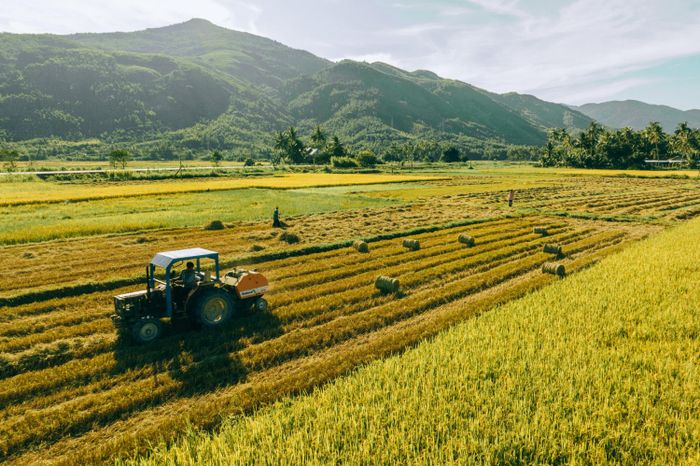 Khám phá Phú Yên qua góc máy tài ba của Hoàn Huynh 6