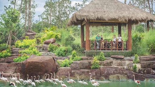 Vinpearl Safari Phú Quốc – Đánh giá toàn diện về mô hình bán sở thú hoang dã đầu tiên tại Việt Nam 23