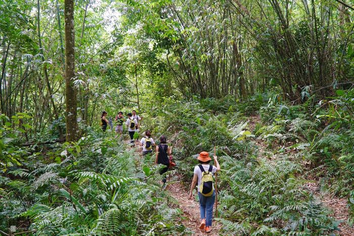 Kinh nghiệm trekking hang Giếng Voọc Quảng Bình trong 1 ngày 3