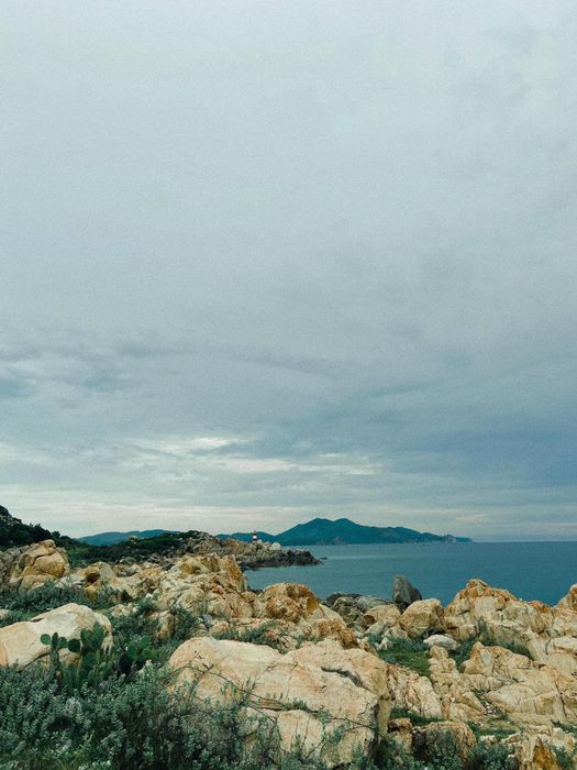 Khám phá Phú Yên với những bãi biển đẹp ngất ngây là điều không thể bỏ qua.