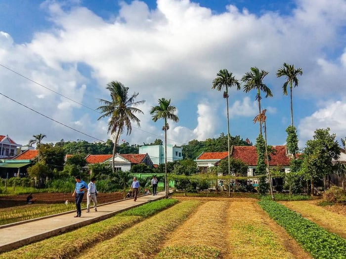 Những phút giây tuyệt vời tại làng rau Ngọc Lãng