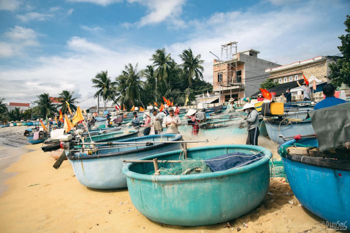 Làng chài Xuân Hải - bình dị giữa những đám hoa và cỏ xanh