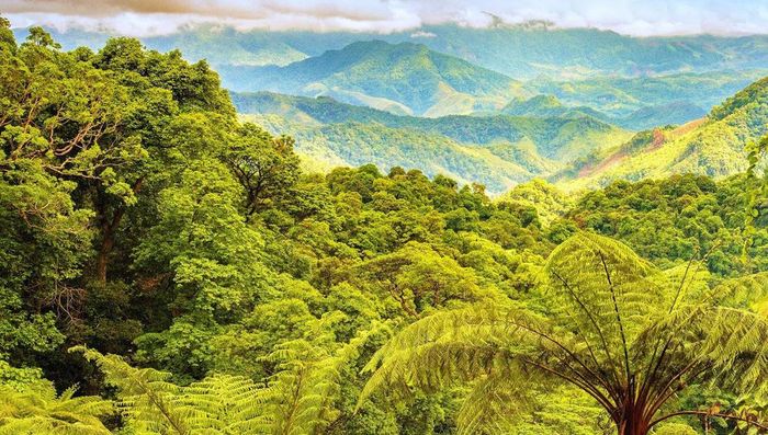 Thác Tóc Tiên Quảng Bình, cuốn hút bởi vẻ đẹp bí ẩn của rừng xanh