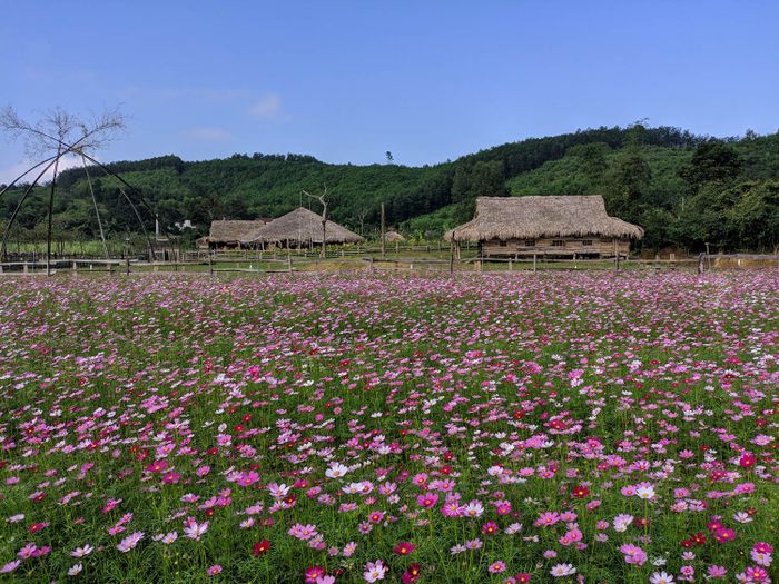 Trải nghiệm cuộc sống sống ảo tại Dong Soi Farm Quảng Bình