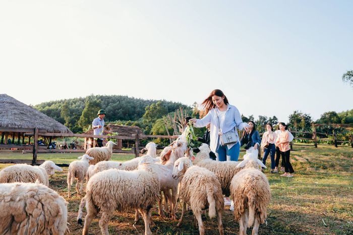 Trải nghiệm sống ảo tại Dong Soi Farm Quảng Bình 6