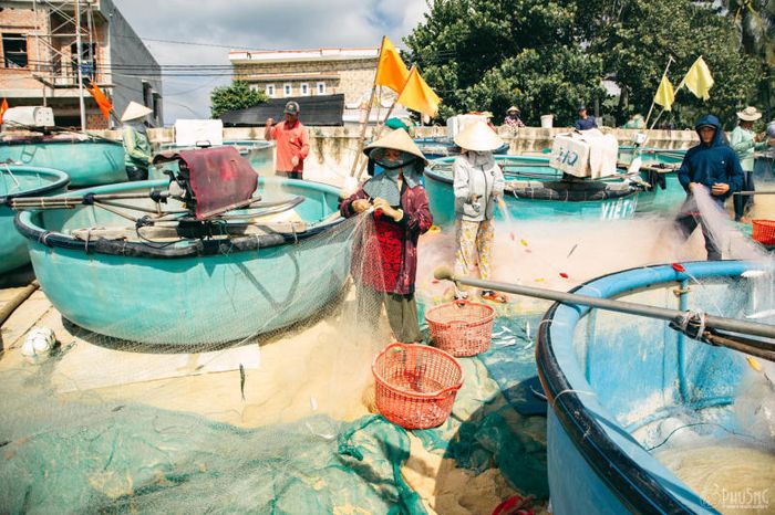 Làng chài Xuân Hải - nét bình dị giữa hoa vàng và cỏ xanh 14