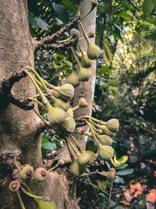 Bí quyết trekking Phong Nha Kẻ Bàng cho người mới tham gia (Phần 7)