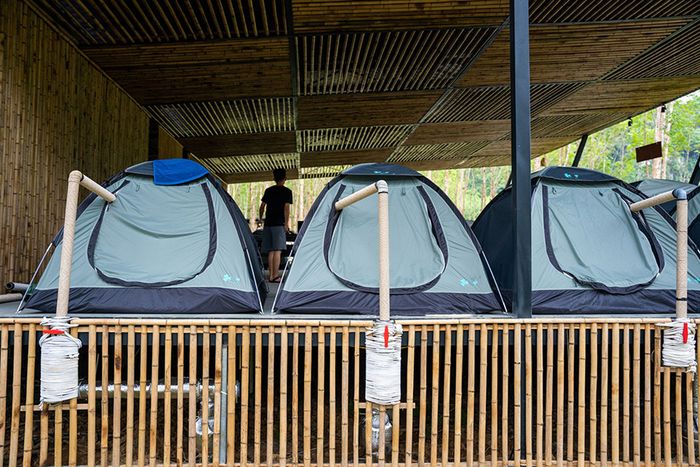 Trải nghiệm cắm trại tại Blue Diamond Camp ở Quảng Bình là một trải nghiệm đặc biệt