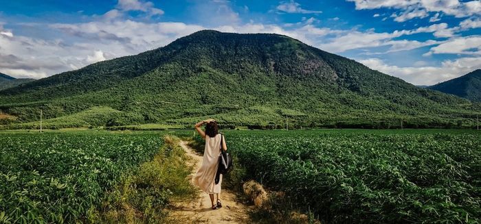 Đánh giá về phong cảnh tuyệt đẹp trên con đường tới hồ thuỷ điện Đá Đen Phú Yên 7