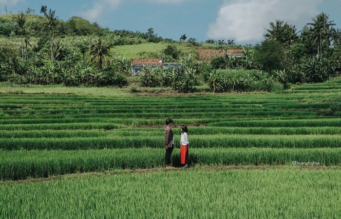 Chuyến hành trình khám phá Phú Yên trong 2 ngày đầy thú vị và chi tiết 3