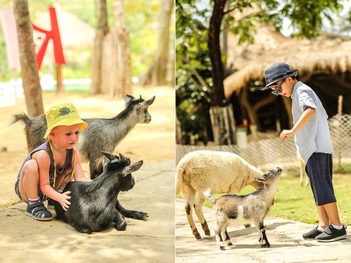 Vinpearl Safari Phú Quốc – Đánh giá chi tiết từ A đến Z về mô hình vườn thú hoang dã đầu tiên tại Việt Nam 7