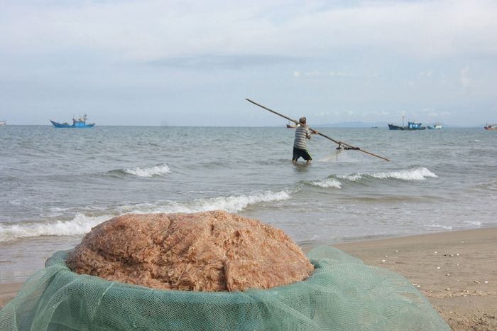 Muốn mua quà ở Quảng Bình vừa ngon vừa rẻ, bạn nên chọn gì?