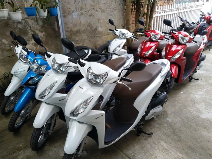 Khám phá ngay những kinh nghiệm thuê xe máy ở Quảng Bình vừa nhanh vừa rẻ 4