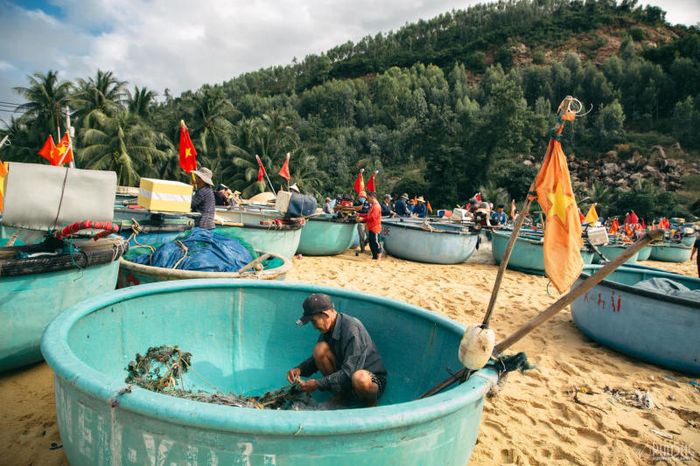 Làng chài Xuân Hải - nét bình dị giữa hoa vàng và cỏ xanh 16