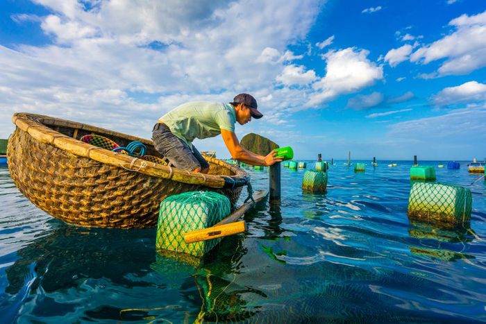 Vẻ đẹp yên bình của Hòn Yến Phú Yên làm cho nhiều người say mê.