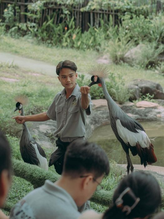 Một ngày tại Vinpearl Safari - khu vườn thú hoang dã tại Đảo Ngọc.