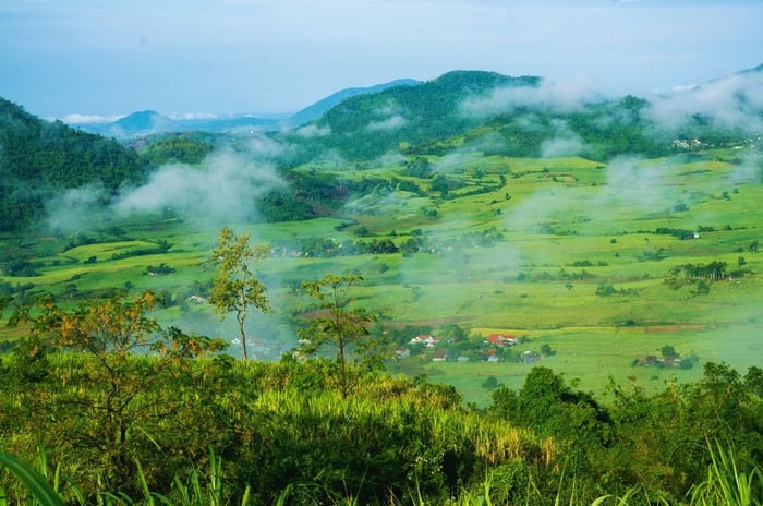 Những tuyến đường đẹp nhất ở Phú Yên cần phải trải qua ít nhất một lần trong đời