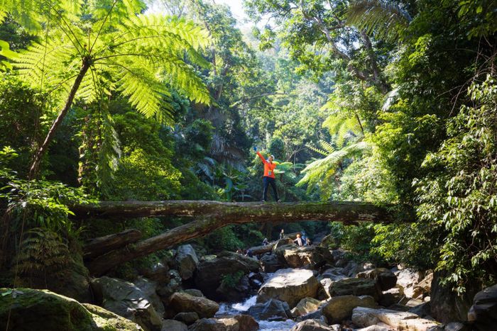 Đánh giá hành trình Trekking Quảng Bình qua Thác Dương Cầm đẹp tuyệt vời 8