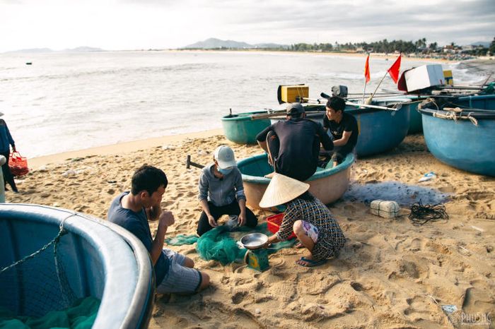 Làng chài Xuân Hải - nơi giản dị giữa hoa vàng và cỏ xanh 8