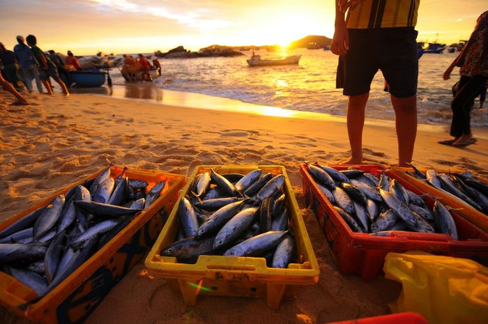 Làng Chài An Hải - Nơi tận hưởng vẻ đẹp hoang sơ và cuộc sống bình dị mà giới trẻ mong muốn