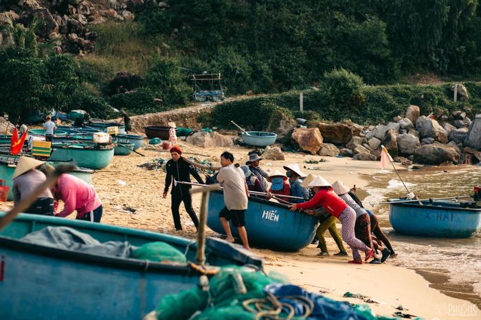 Làng chài Xuân Hải - bình dị giữa hoa vàng và cỏ xanh 4