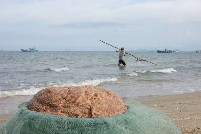 Món Mắm ruốc Quảng Bình - hương vị đặc trưng