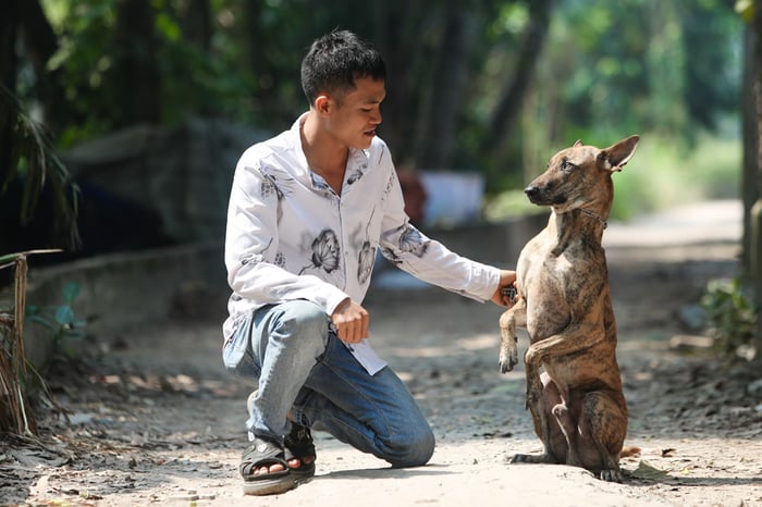 Trung tâm bảo tồn chó xoáy Phú Quốc – Linh hồn của đảo Ngọc