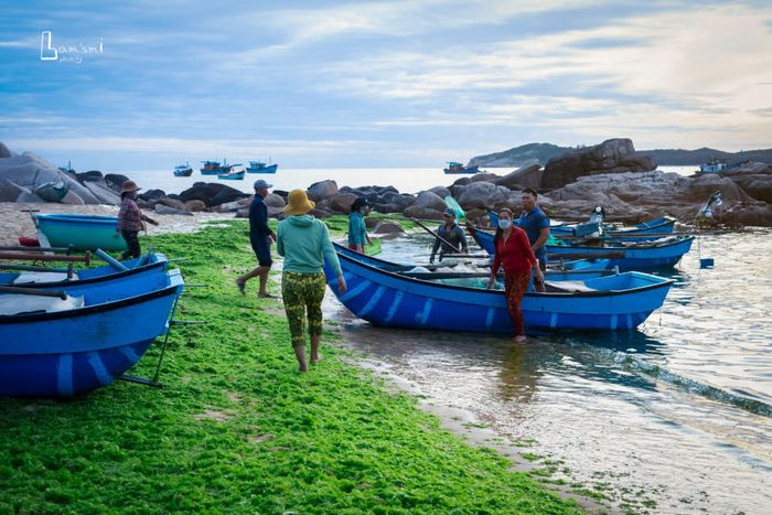 Bình minh trên Làng chài An Hải vào một ngày đầu thu thứ tám