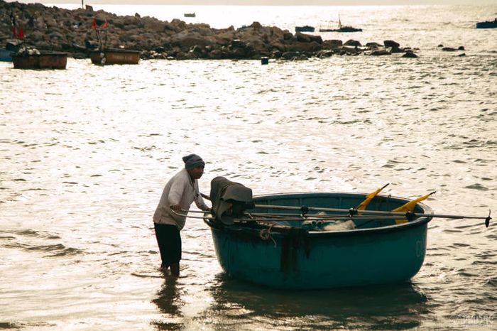 Làng chài Xuân Hải - nét bình dị giữa hoa vàng và cỏ xanh 11