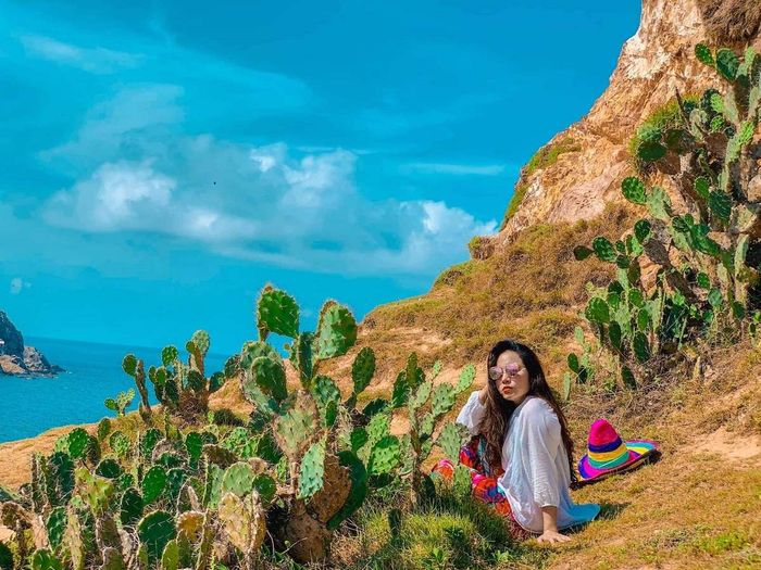 Bí quyết chọn điểm tham quan ngon-bổ-rẻ khi du lịch Phú Yên mà không phải ai cũng biết 2