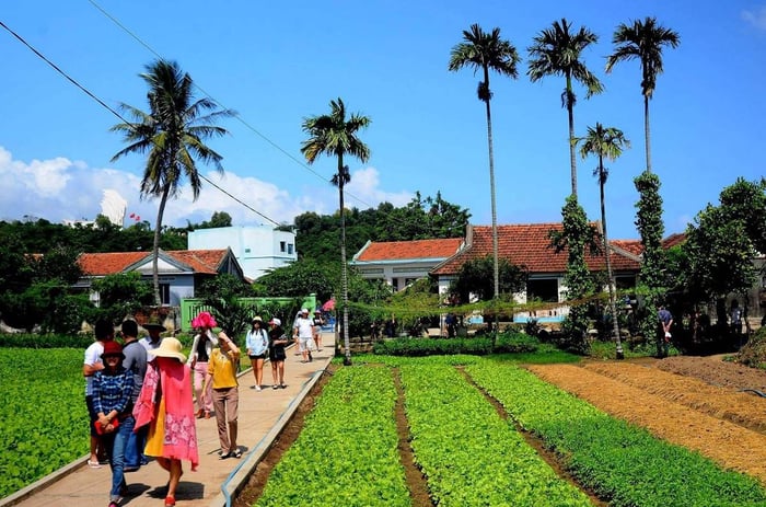 Khám phá làng rau Ngọc Lãng - Điểm đến lý tưởng cho một ngày dài