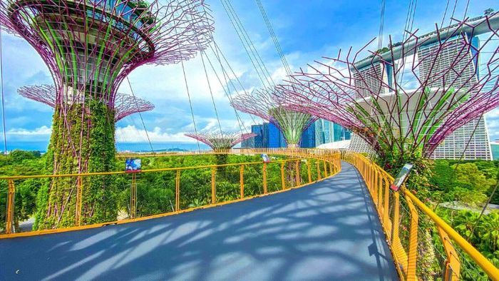 Gardens by the Bay, khu vườn nhân tạo quy mô lớn tại Singapore 6