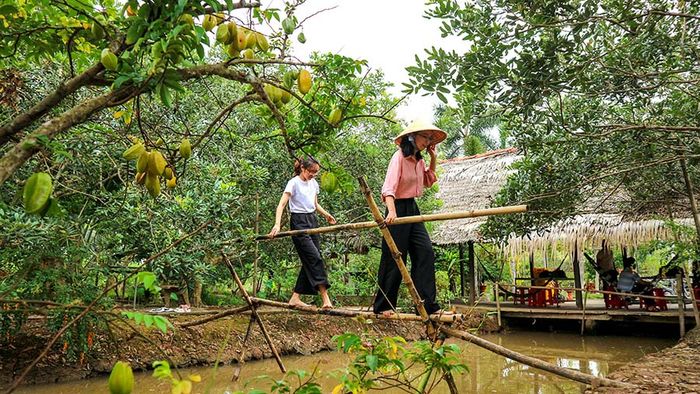 Du lịch Kế Sách Sóc Trăng - Khám phá cầu khỉ và vườn trái cây