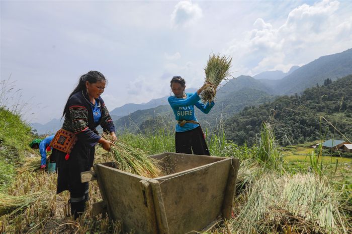 Một ngày ở Sapa - Thời gian ngắn ngủi nhưng đủ để bạn ghi nhớ về vẻ đẹp da diết của Sapa.