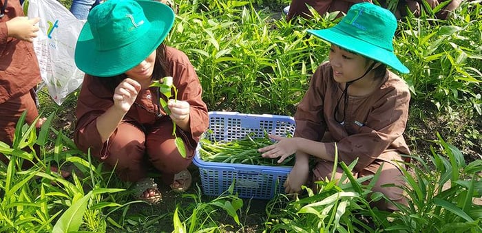 Trải nghiệm một ngày làm nông dân tại nông trại Nam Trạng sẽ mang lại cho bạn những kỷ niệm đáng nhớ.