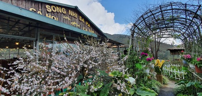 Nhà hàng Song Nhi Sapa - Trải nghiệm hương vị độc đáo từ cá hồi tươi ngon tại vùng Tây Bắc 2