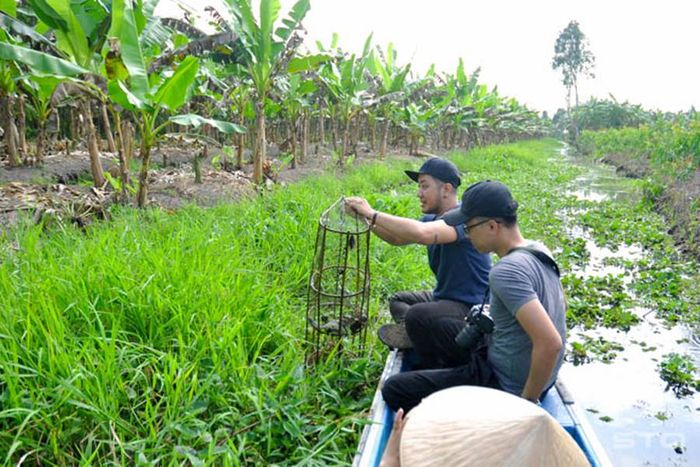 Khám phá vẻ đẹp của huyện Mỹ Tú, Sóc Trăng với những điểm đến thú vị