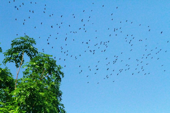 Khám phá hang Én Làn Quảng Bình trong mùa xuân có những điều gì thú vị 8