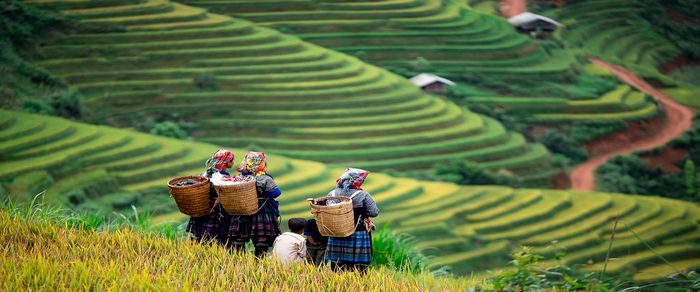 Con đường hướng lên thiên đường Sapa - Nơi hòa mình vào mây đại ngàn 11