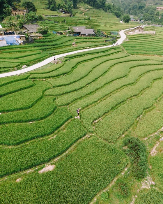 Đánh giá về Tả Van mùa lúa chín đẹp lòng người