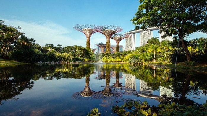 Gardens by the Bay, khu vườn nhân tạo quy mô lớn tại Singapore 8