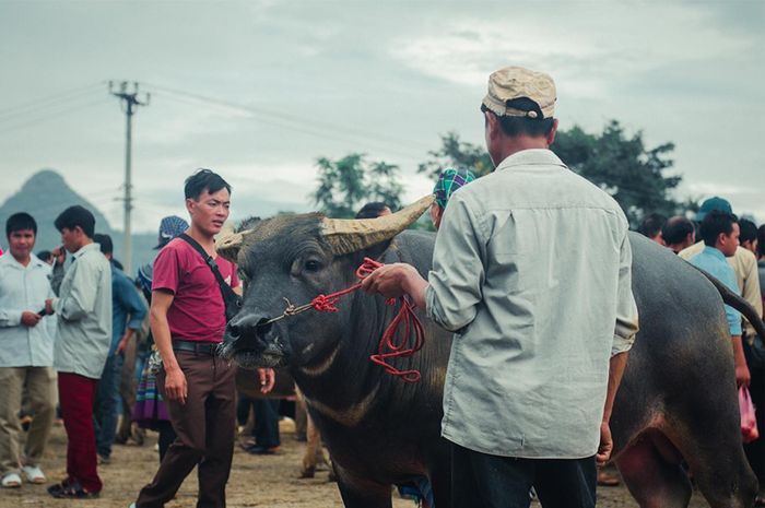 Gợi ý kế hoạch du lịch Sapa - Chợ phiên Bắc Hà 4N3Đ - Tiếng gọi từ vùng cao nguyên trắng 12