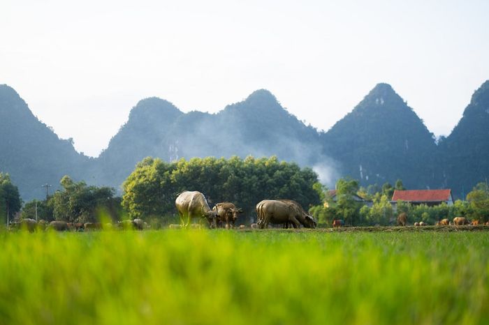 Thưởng ngoạn cảnh hoàng hôn mùa đông ở Tân Hóa, Quảng Bình 2