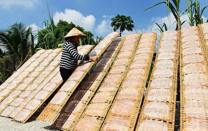 Làng nghề bánh tráng Trảng Bàng: Di sản văn hóa Nam Bộ 2